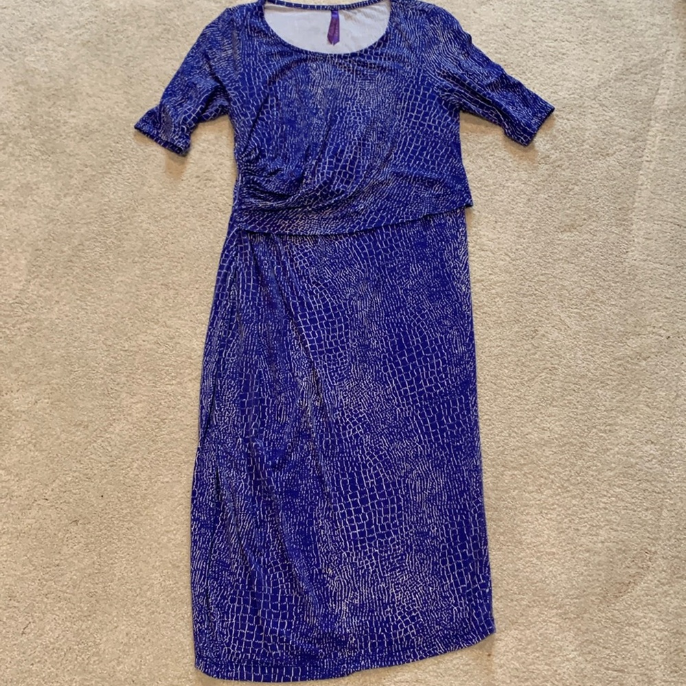 Seraphine nursing and maternity dress